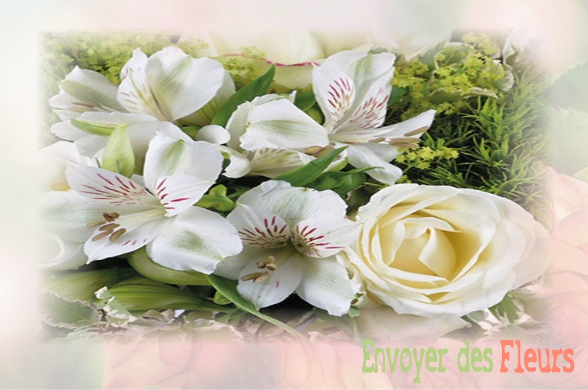 envoyer des fleurs à à AUBONCOURT-VAUZELLES
